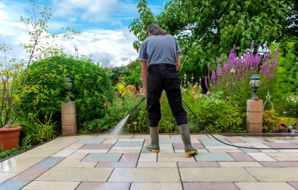 Best Driveway Cleaning and Restoration in Mount Olive, IL